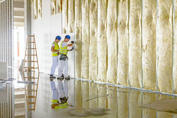 Best Insulation Maintenance and Repair in Griffith, IN